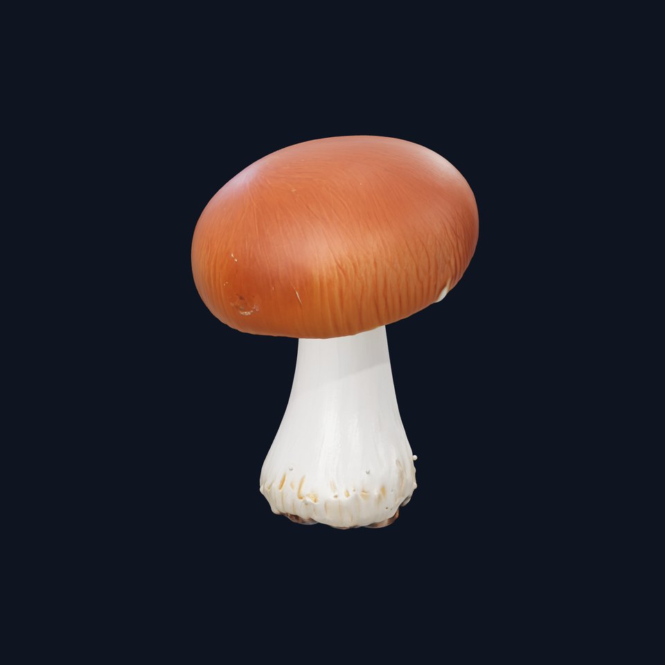 Classic Boletus Edulis Mushroom model pack