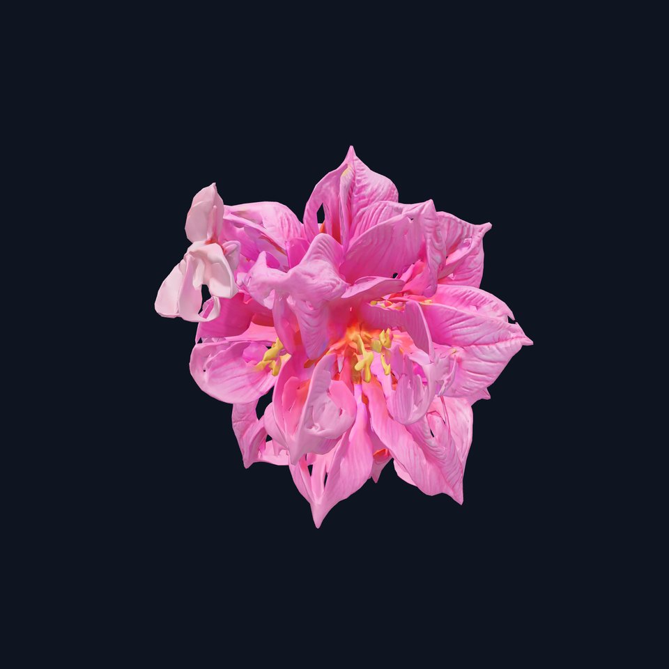 Lush Double Clematis Flower Plant model pack