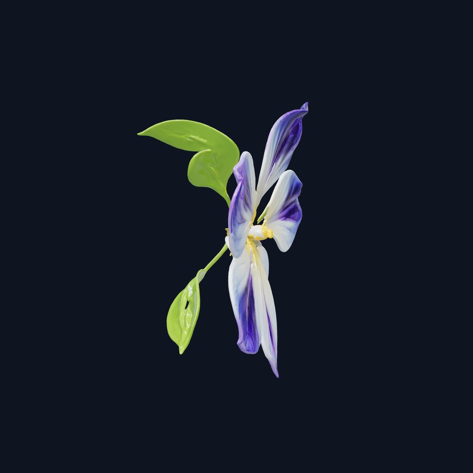 Two-Tone Clematis Flower Realistic Model Pack