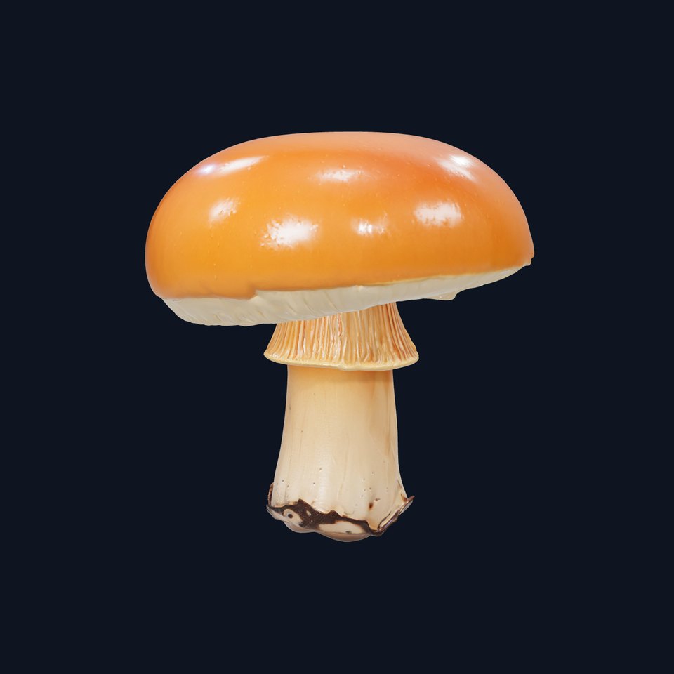 Autumn Boletus Mushroom Realistic Textures model pack viewer poster