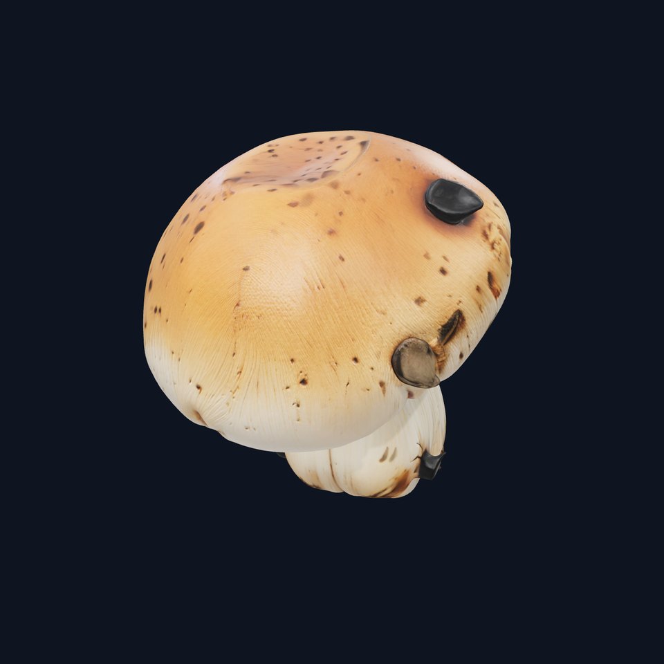 Realistic Damaged Boletus Mushroom model pack viewer poster
