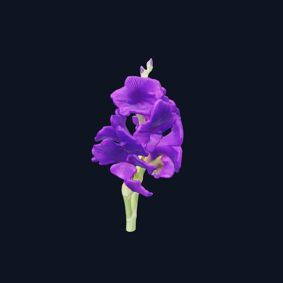 Gladiolus Purple Petals Bloom Sculpture model pack viewer poster