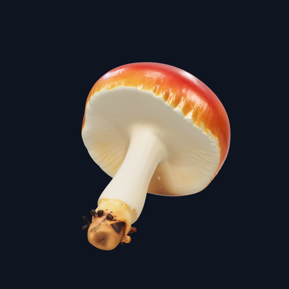 Young Red-Cap Mushroom model pack