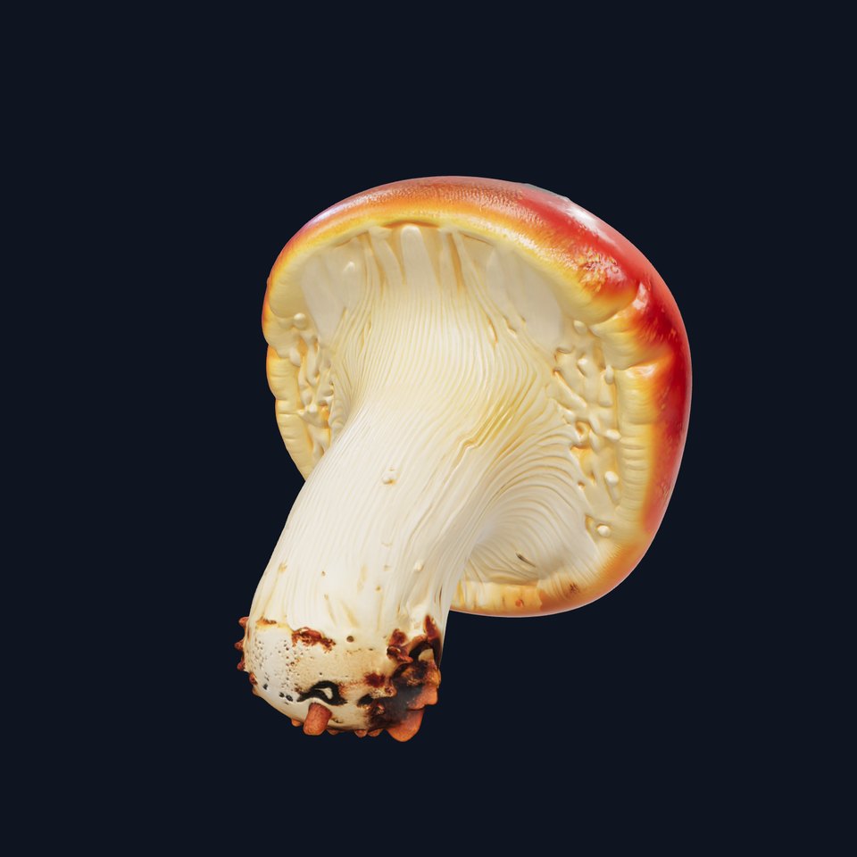 Damaged Red-Cap Mushroom Realistic Texture model pack