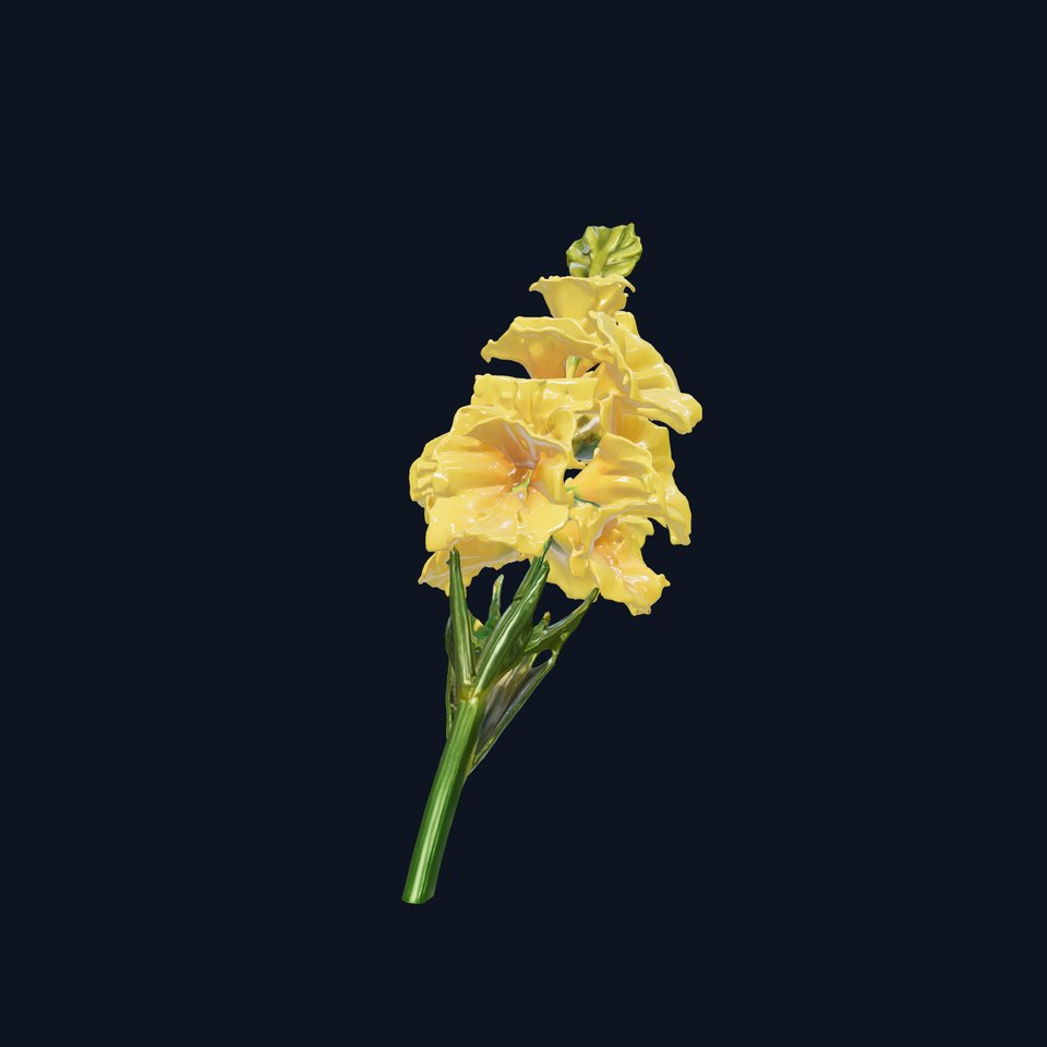 Gladiolus Yellow Flower Detailed Botanical Model Pack