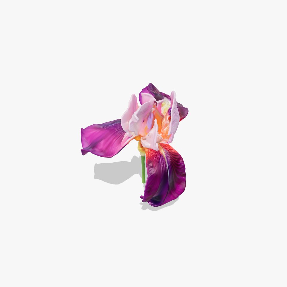 Graceful Iris Floral Sculpture model pack