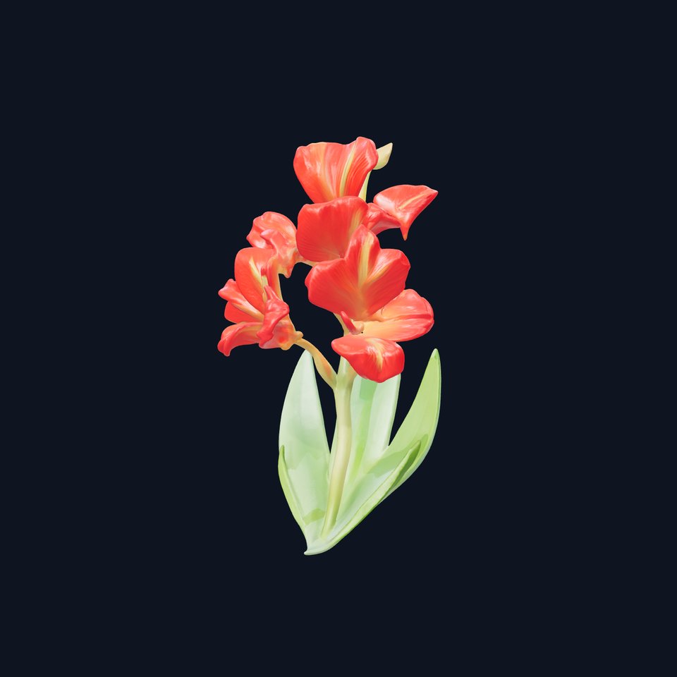 Miniature Gladiolus Flower Realistic Petal Model Pack