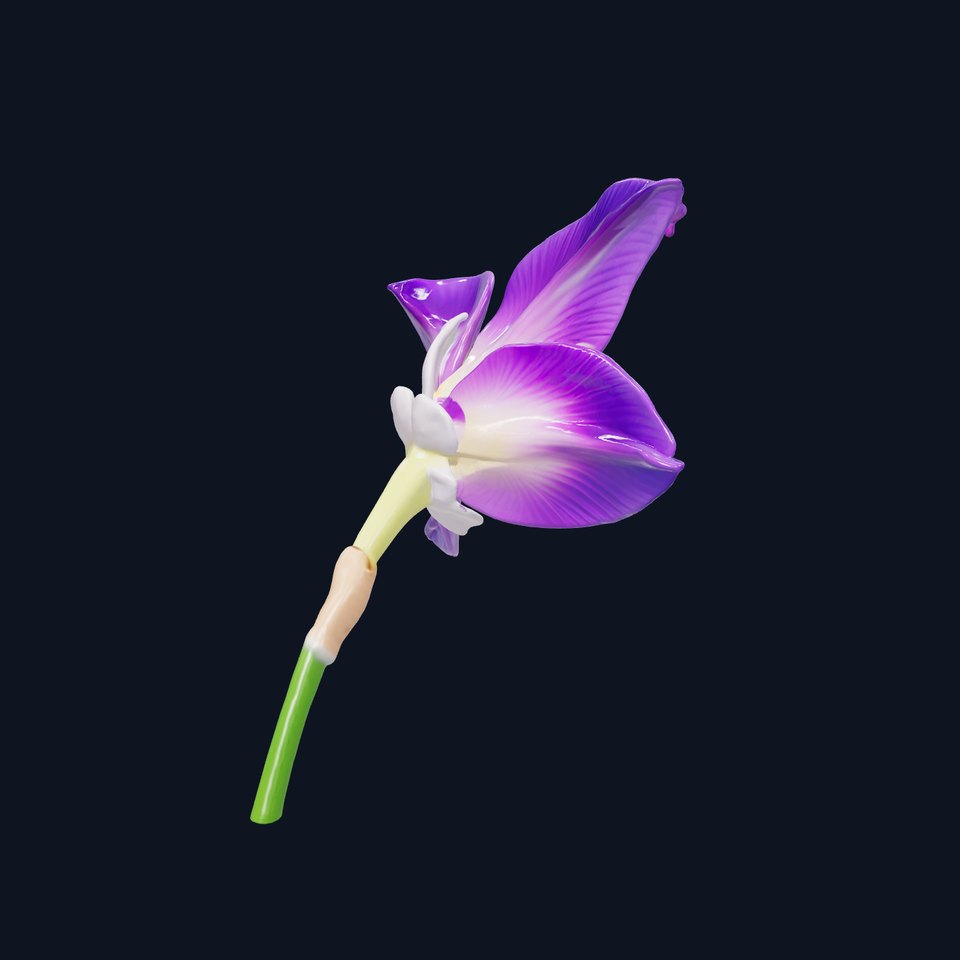 Purple Narcissus Flower model pack