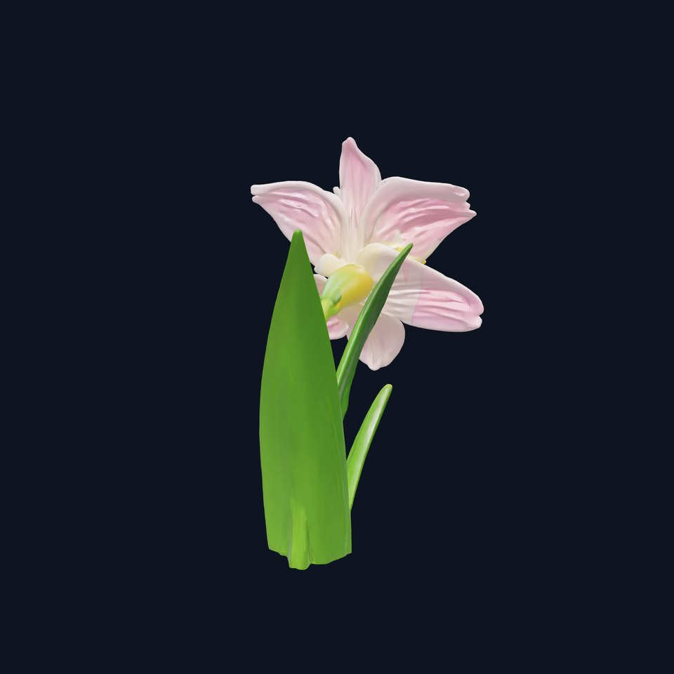 Narcissus Flower Realistic Botanical model pack