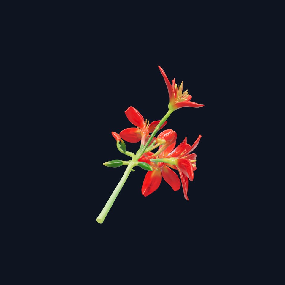 Dwarf Lily Floral Nature Sculpture model pack