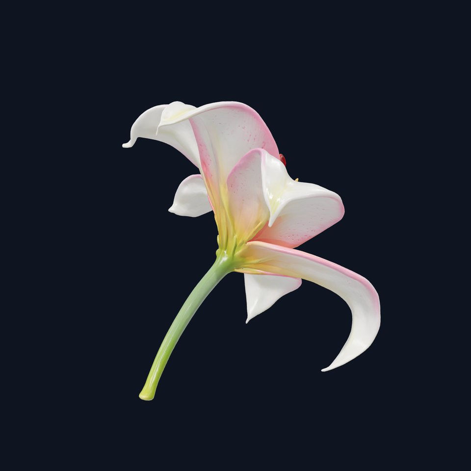 Regal Lily Flower Realistic Texture model pack
