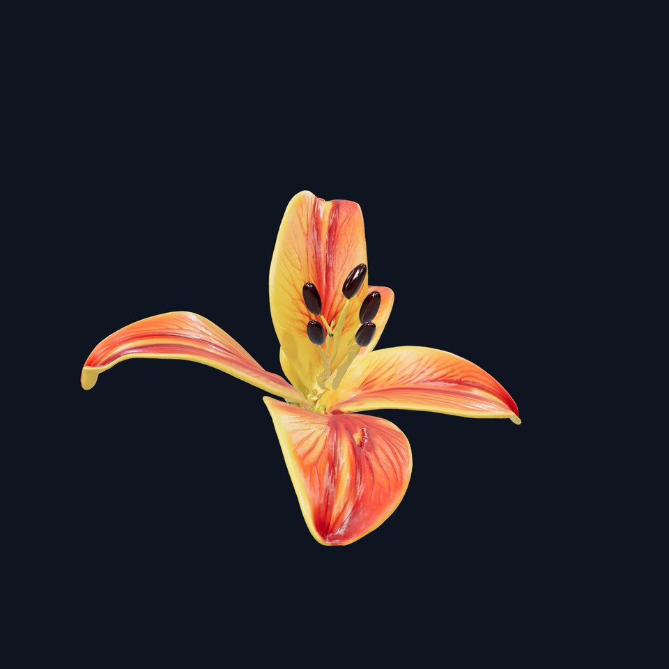 Vibrant Asiatique Lily Flower 3D model pack