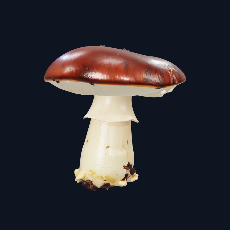 Damaged Mushroom with Authentic Marks model pack