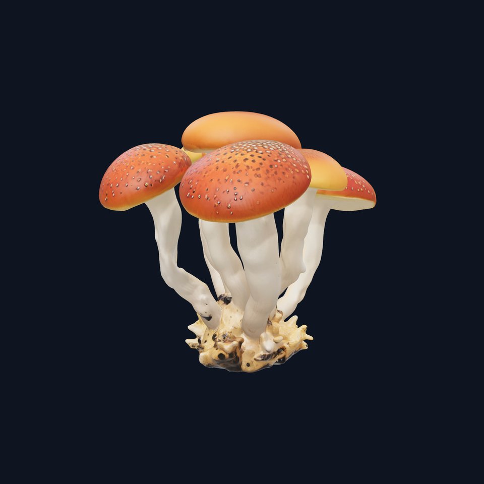 Clustered Mushrooms Diversity Sculpture model pack