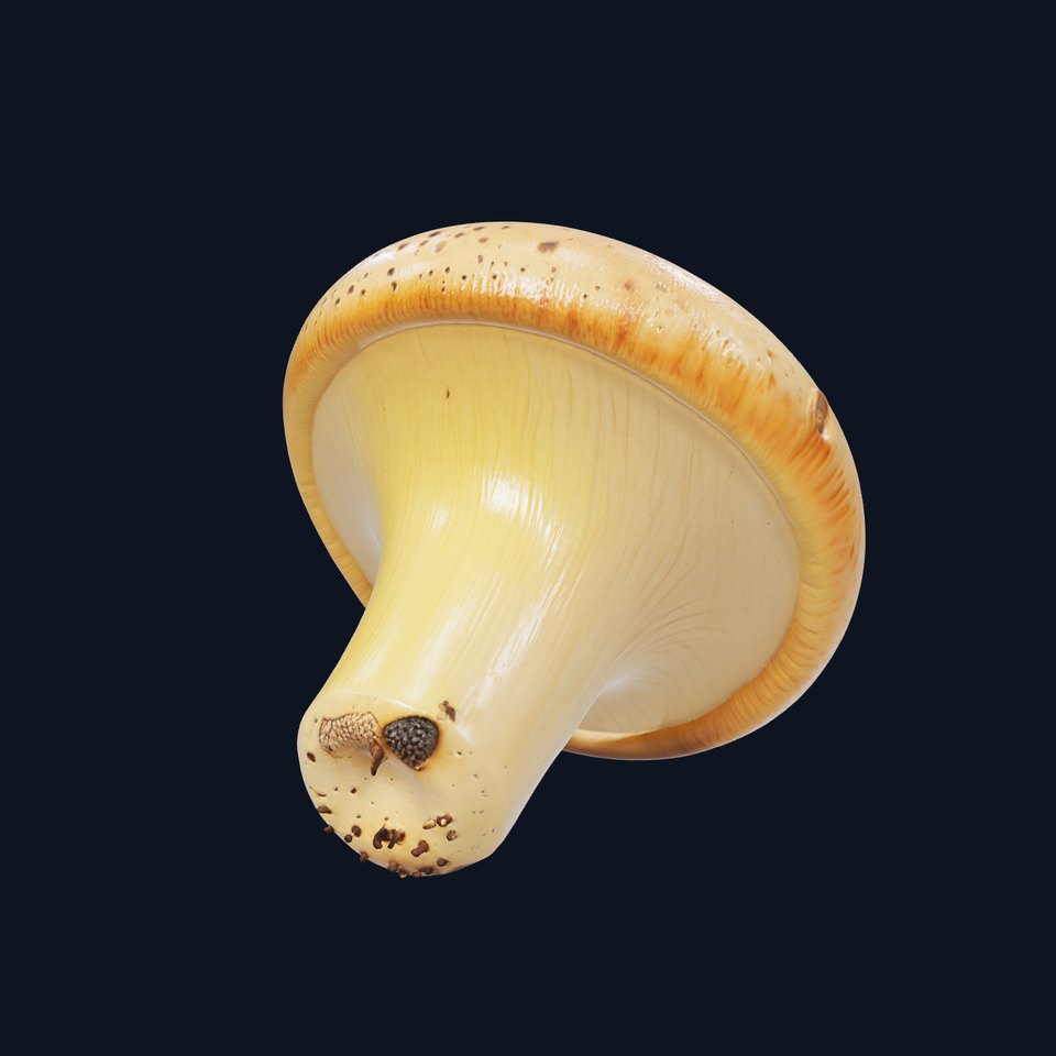 Realistic Mushroom Model Pack with Natural Textures