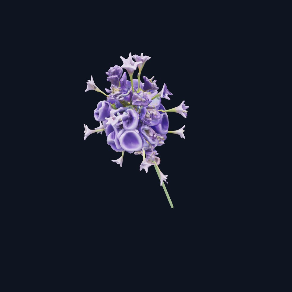 Lavandula Double Layered Petals 3D model pack