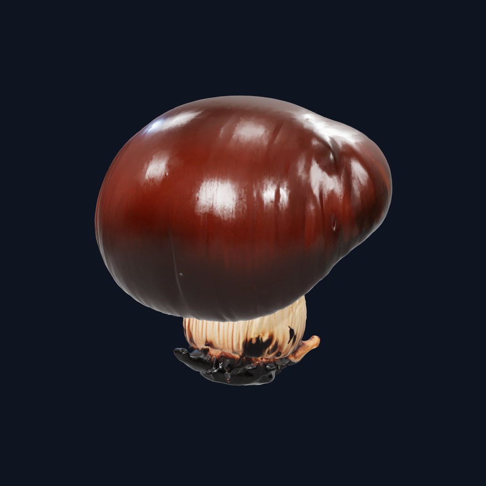 Forest Mushroom Realistic Model Pack