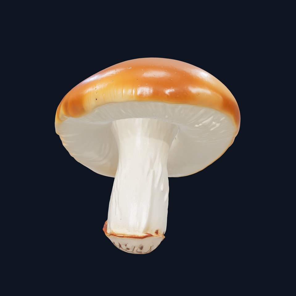 Realistic Shiny Mushroom Model Pack with Reflective Surface
