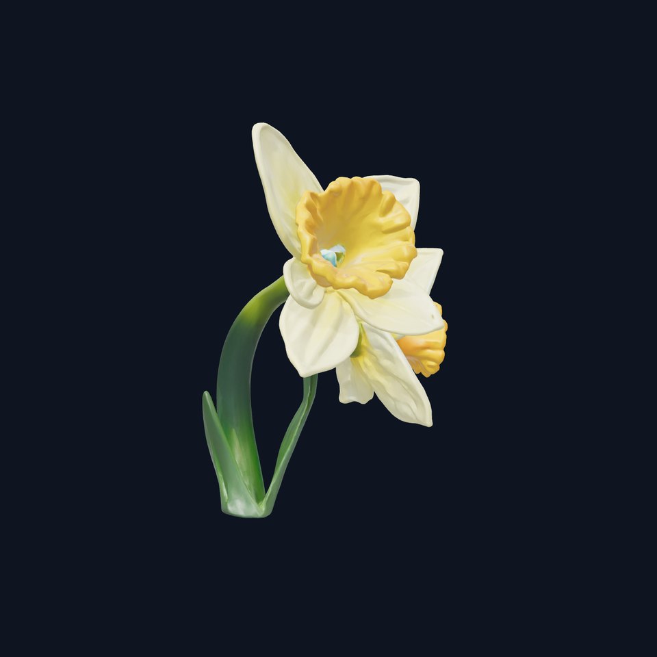 Miniature Daffodil Flower Model Pack