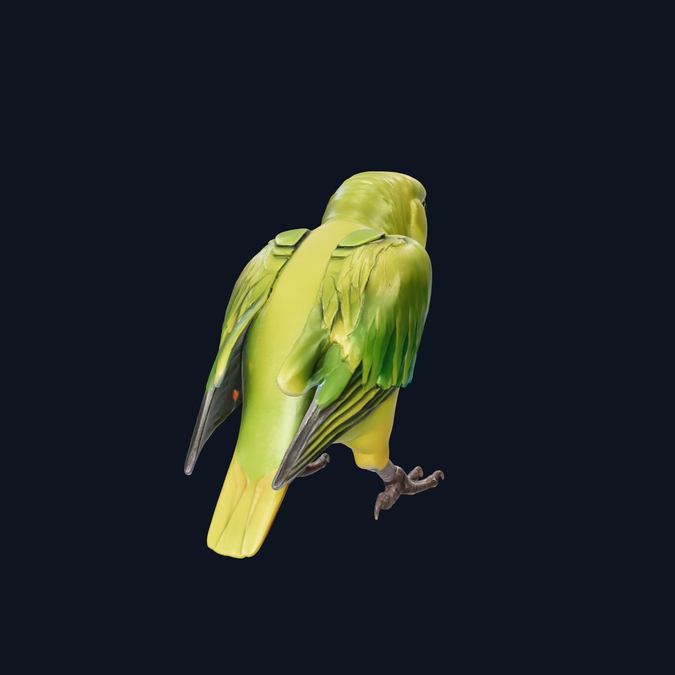 Amazon Parrot Realistic Bird 3D Model Pack