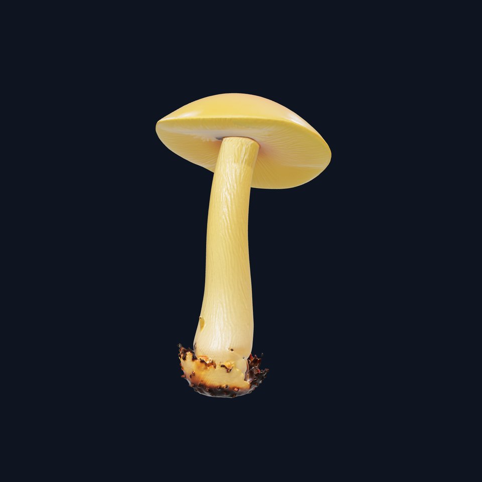 Chanterelle Mushroom Young Bright Yellow model pack