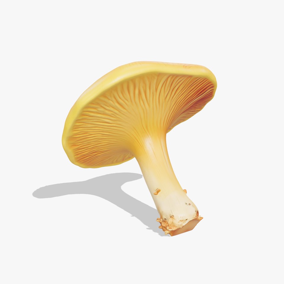 Pine Chanterelle Mushroom 3D Model Pack viewer poster