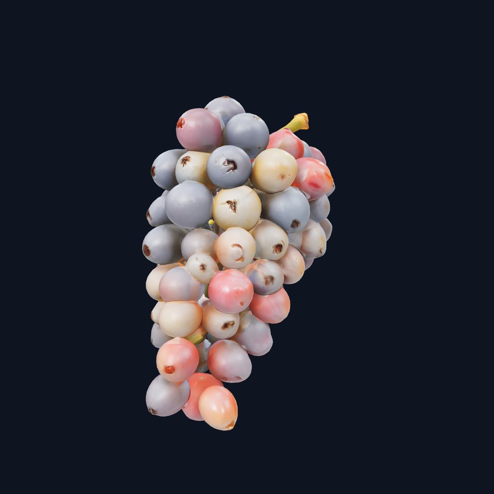 Vineyard Grape Bunch Model Pack with Rustic Appeal