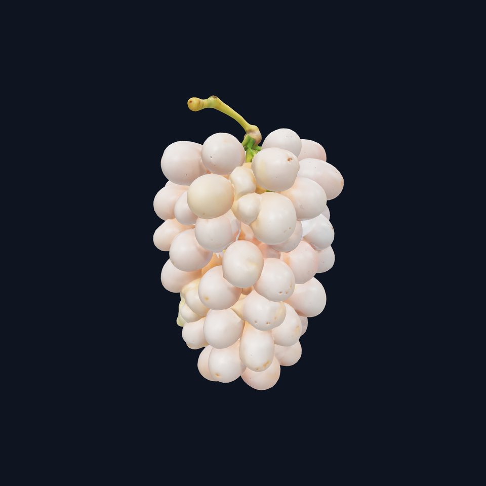 Pastel Grape Cluster Delicate Model Pack