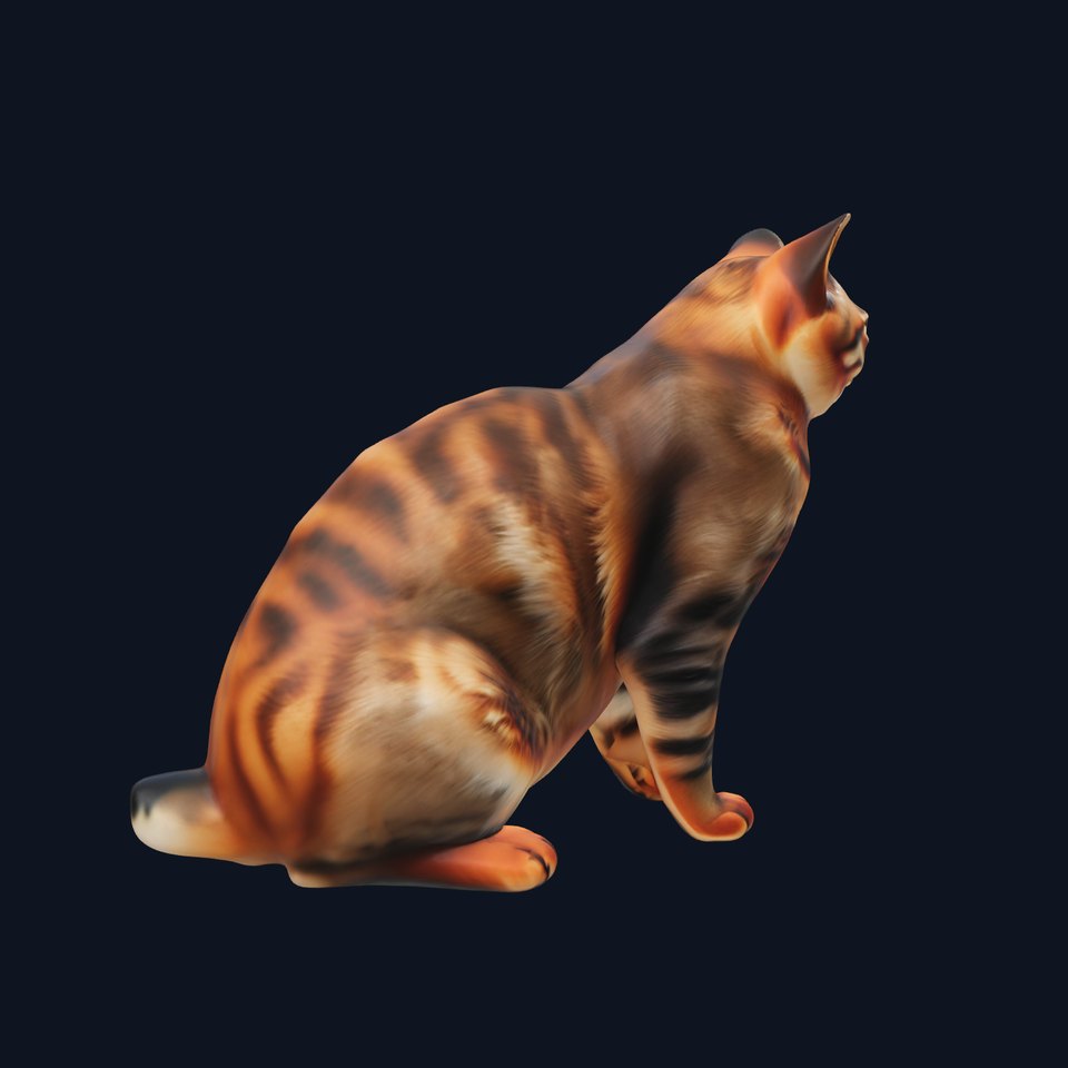 Realistic Domestic Cat Model Pack