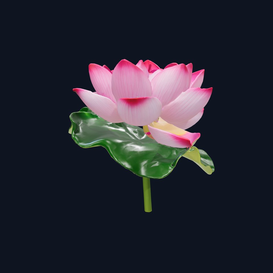 Lotus Flower Pink Petals Nature model pack