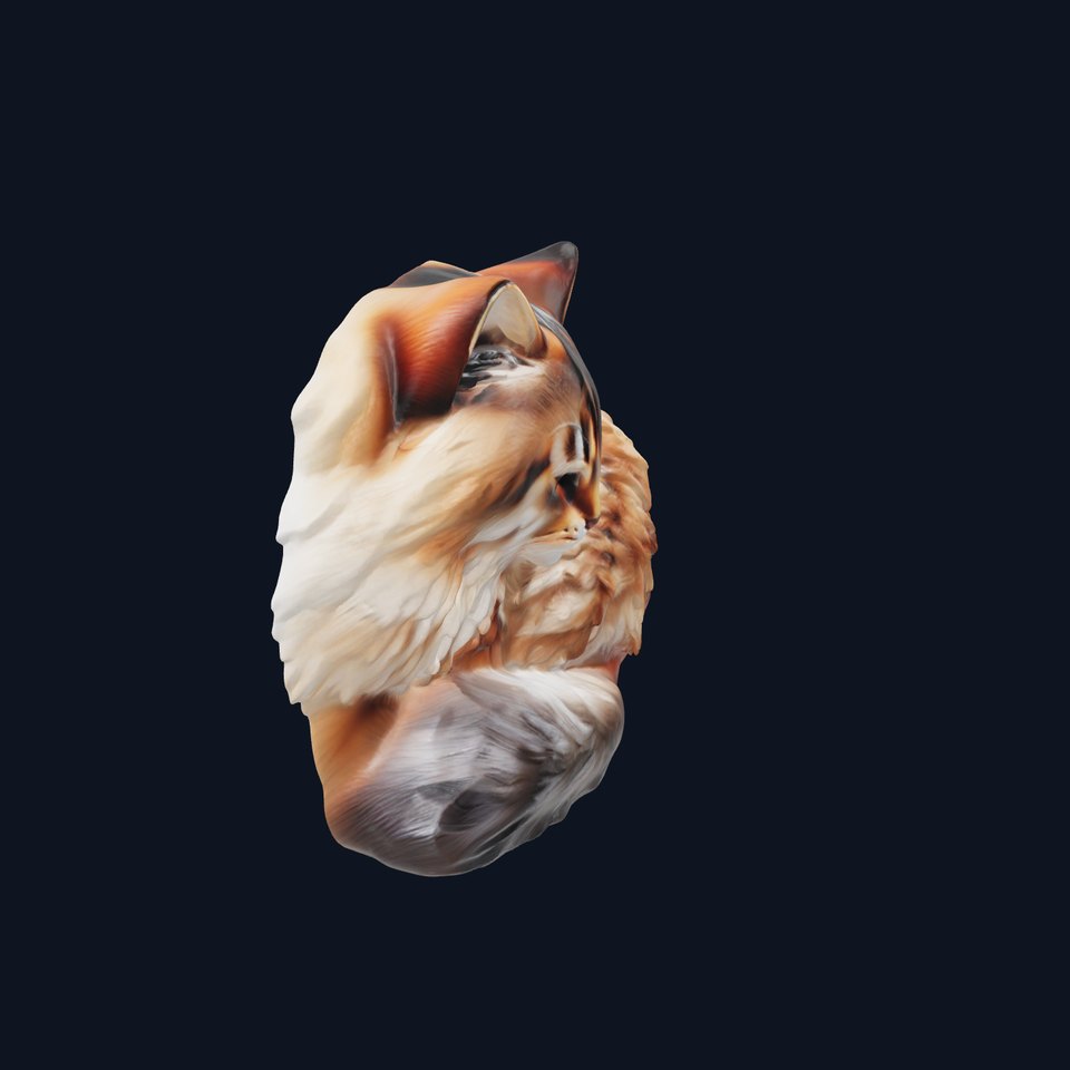 Fluffy Cat D Model Pack with Realistic Fur Detail