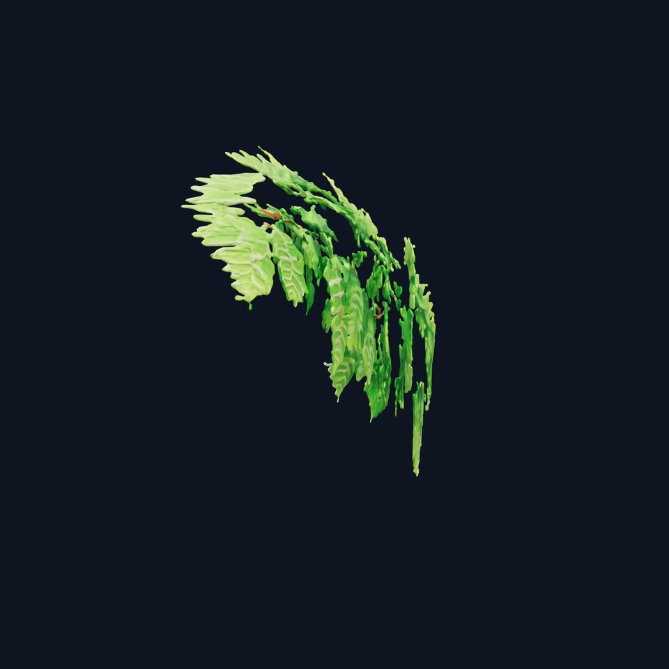 Photorealistic Pteridium Fern Triangular Leaves model pack viewer poster