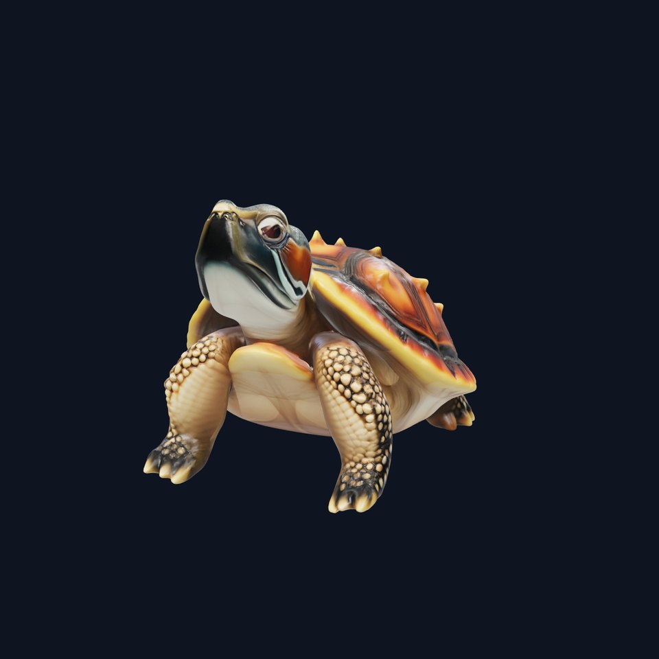 Spiny Softshell Turtle Detailed D Model Pack