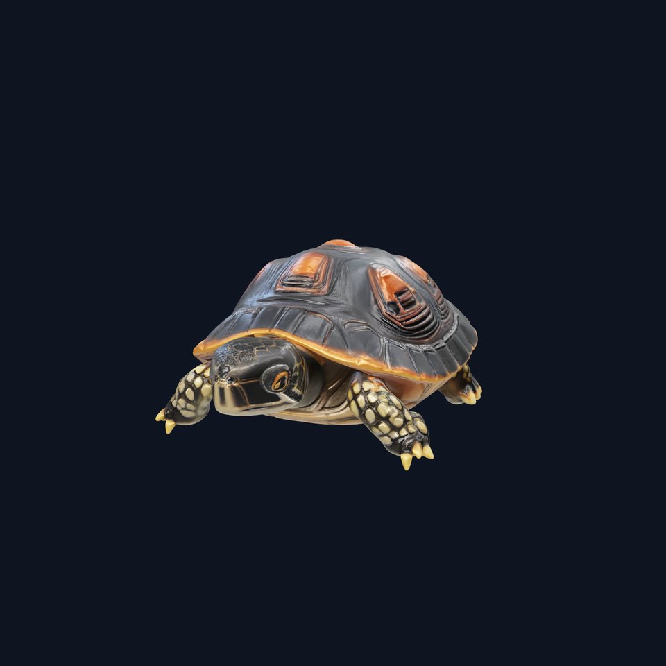 Chinese ThreeKeeled Turtle Realistic model pack