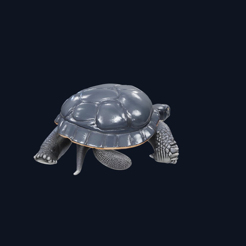 Leatherback Turtle Detailed Shell model pack viewer poster