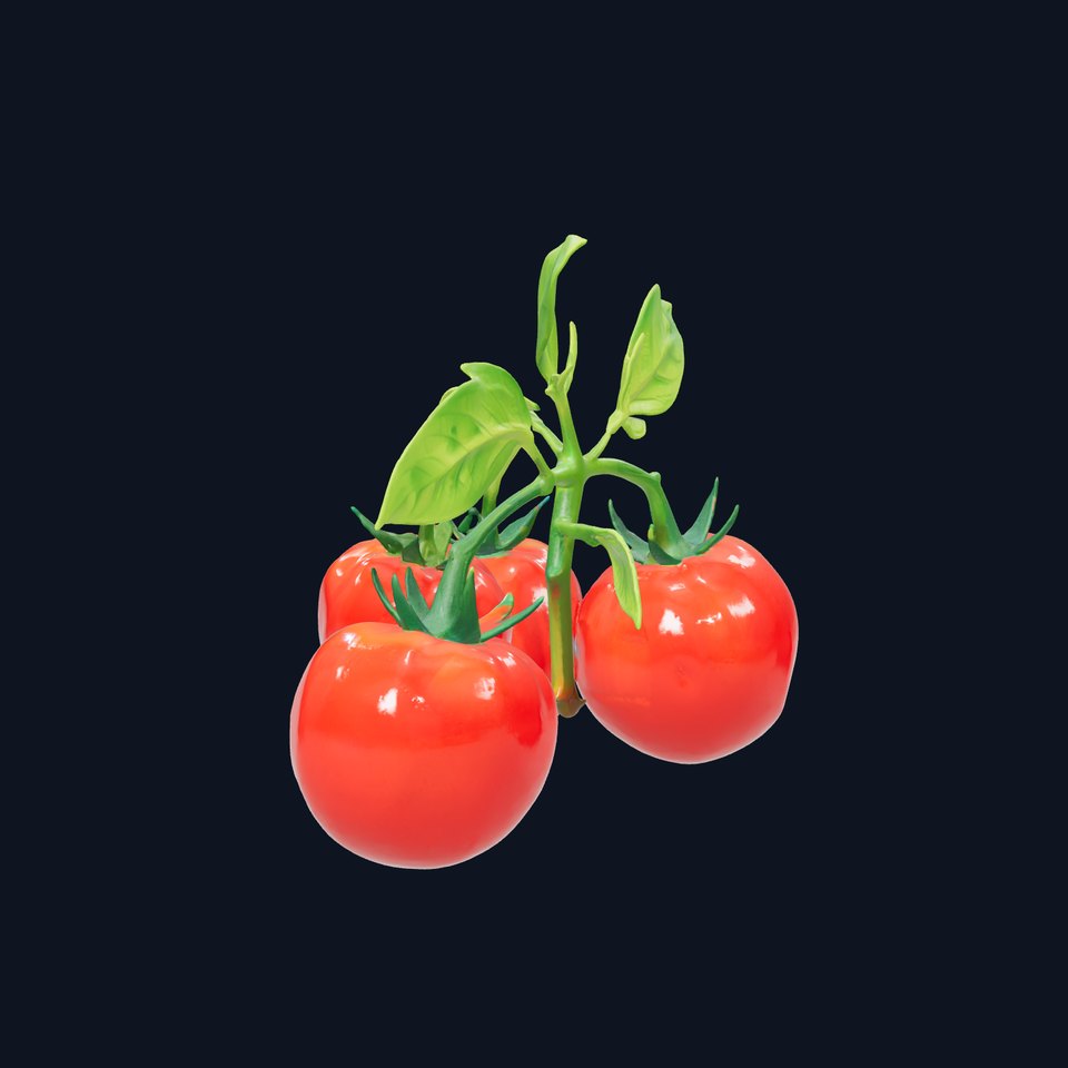 Realistic Carrot Vegetable Model Pack