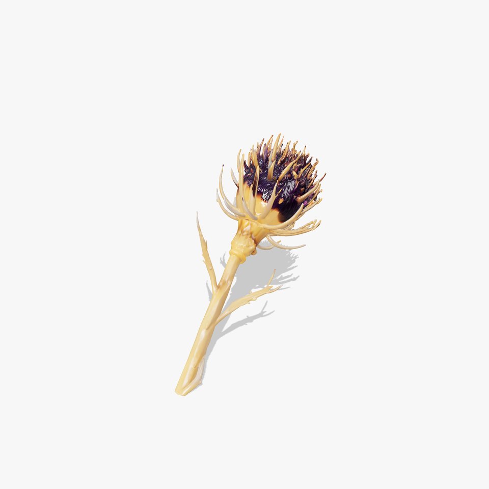 Luxurious Thistle Gold Accent Model Pack