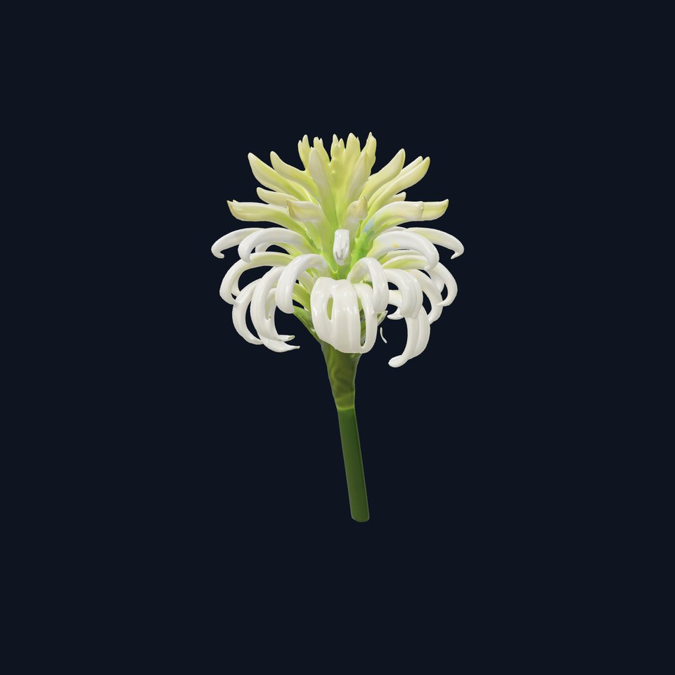 Elegant Flower Bloom Sculpture model pack