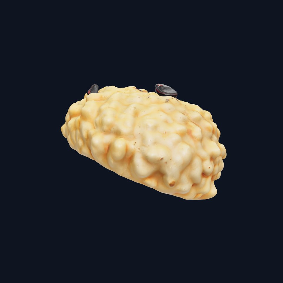 Creamy Risotto with Black Garlic Garnish model pack viewer poster