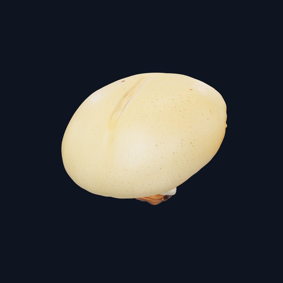 Realistic Mushroom Model Pack