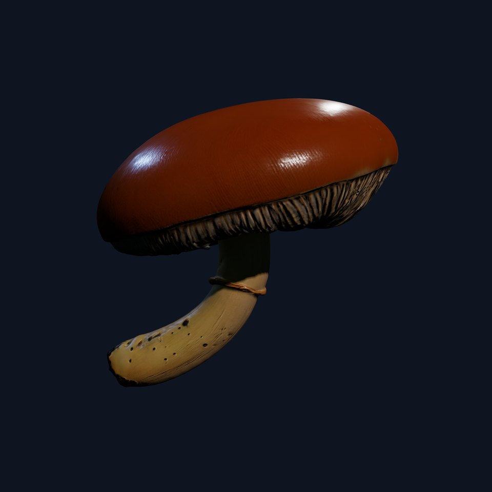 Realistic Mushroom Model Pack with LOD