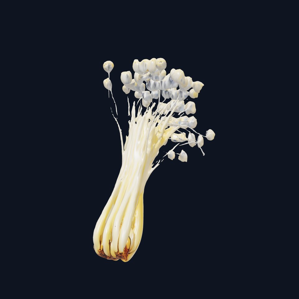 Mushroom Cluster Model Pack for D Rendering and Game Engines