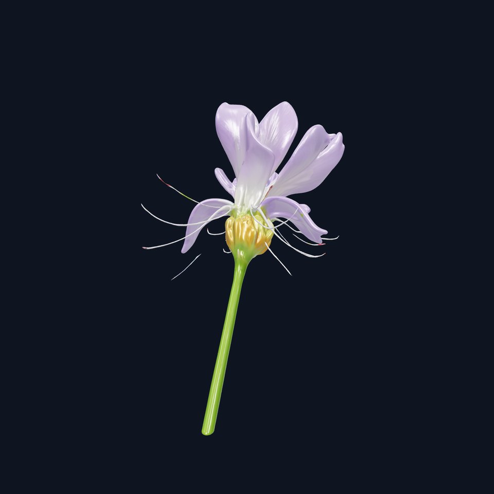 Elegant Purple Flower Model Pack for Animation and Design