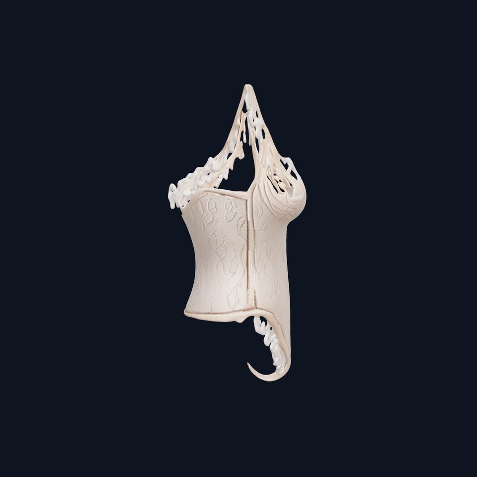 Elegant Lace Bodysuit Model Pack