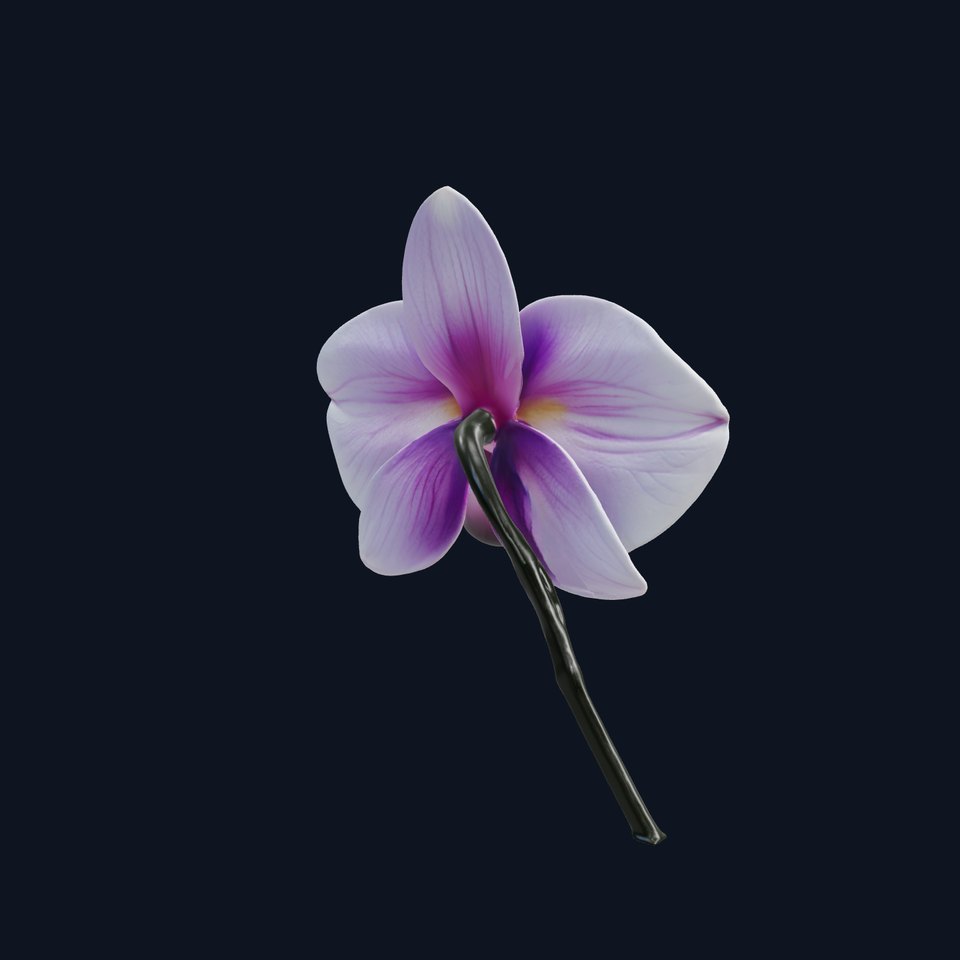 Orchid Flower Model Pack with Detailed Textures