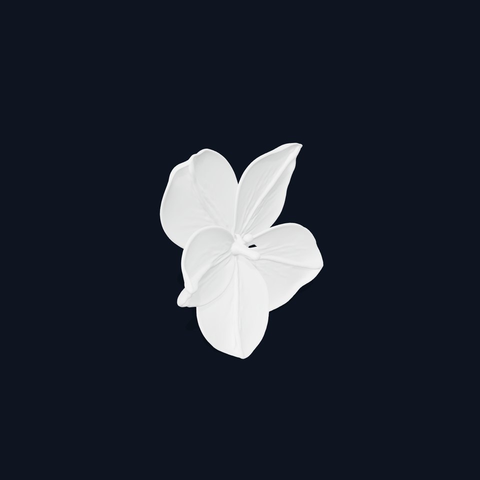 Vibrant Multicolor Flower Model Pack for D Rendering and Animation