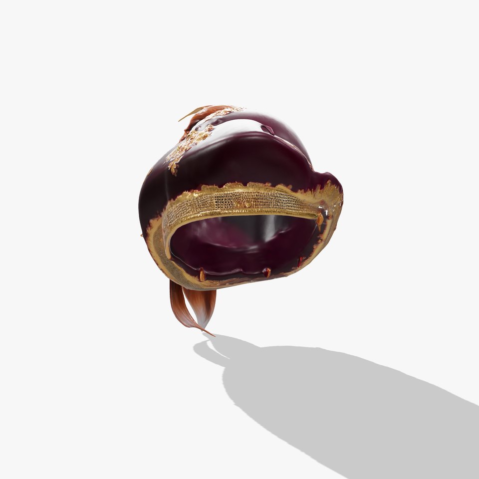 Renaissance Velvet Hat with Gold Embroidery Model Pack