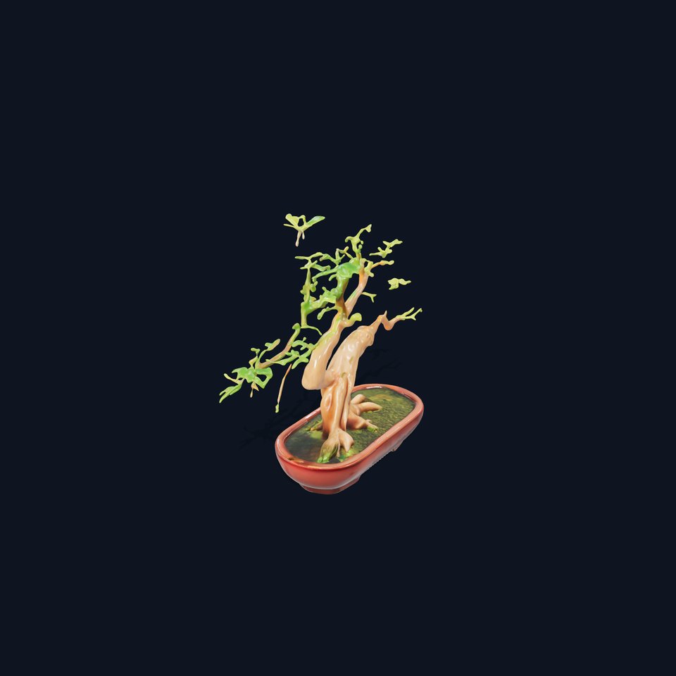 Realistic Bonsai Tree D Model Pack viewer poster