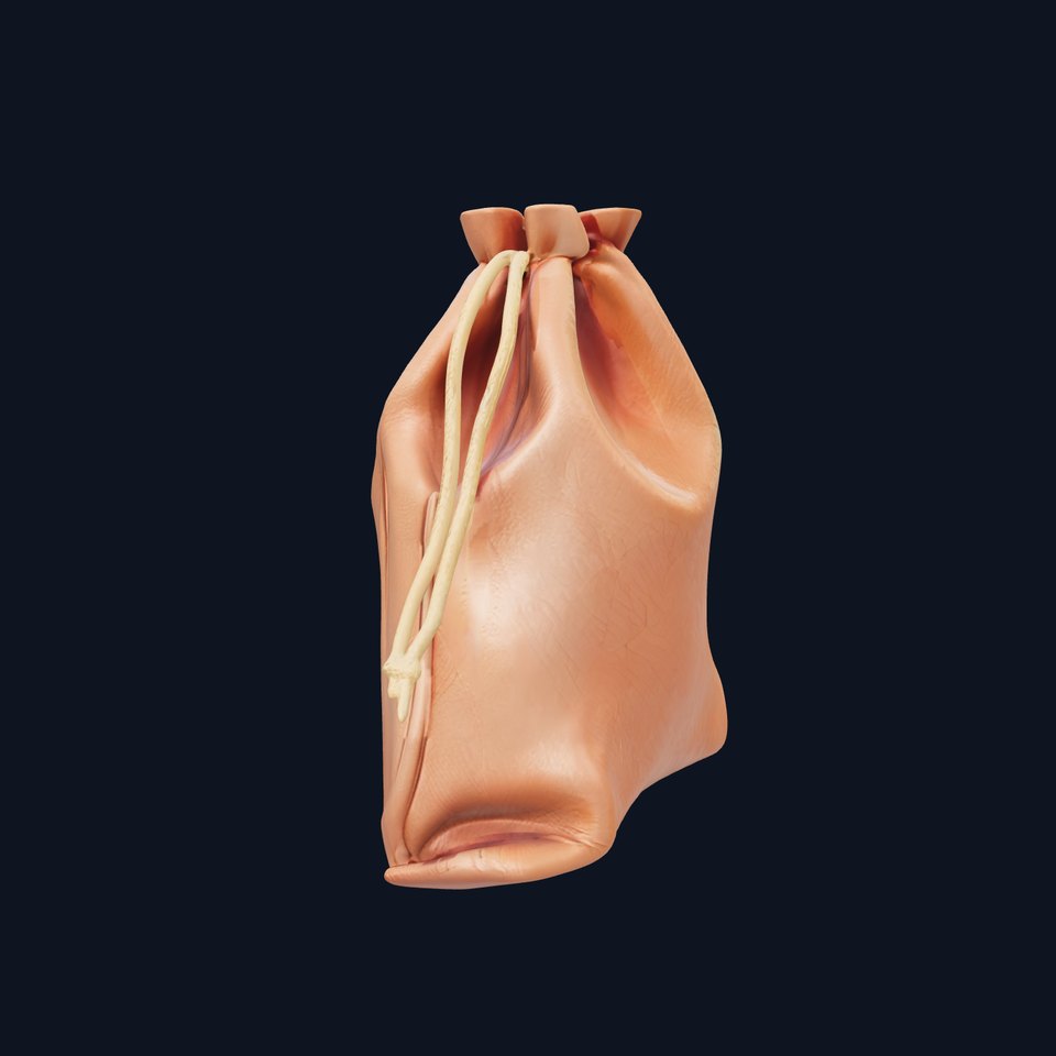 Leather Pouch Model Pack with Drawstring Closure