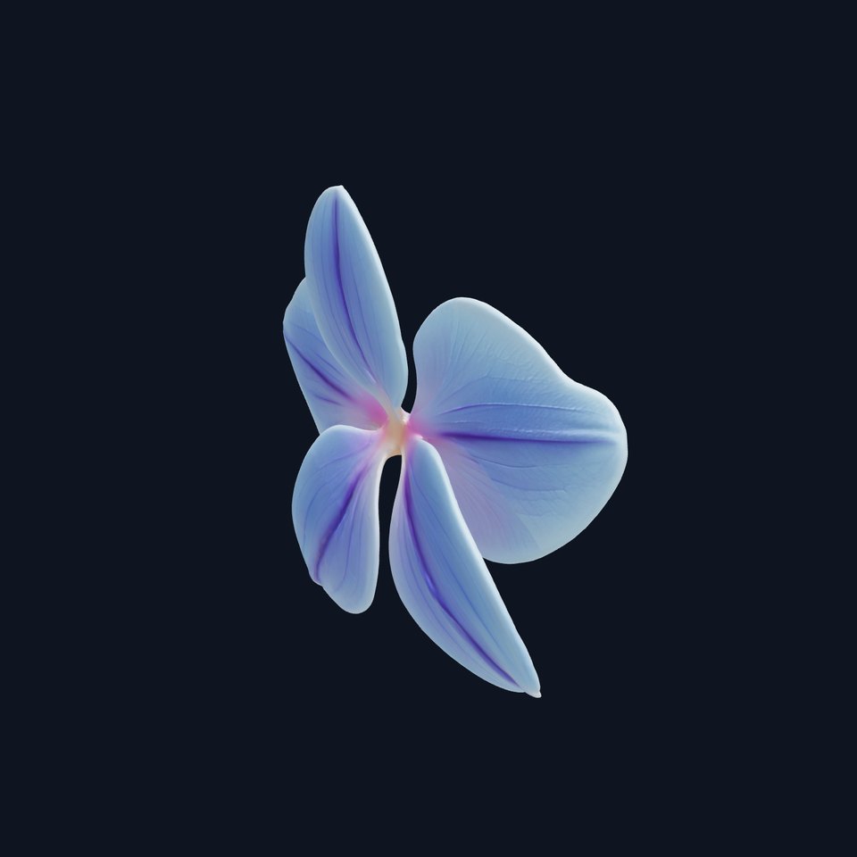 Orchid Bloom D Model Pack viewer poster